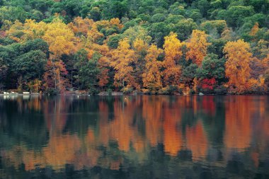 sonbahar Göl Manzaralı