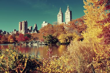 Central Park'a sonbahar