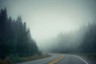 Alacakaranlıkta sisli yol
