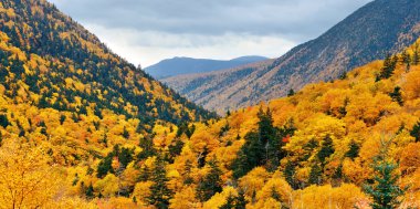 Beyaz dağ, New Hampshire