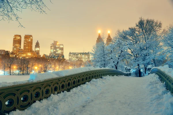 Parque central inverno — Fotografia de Stock