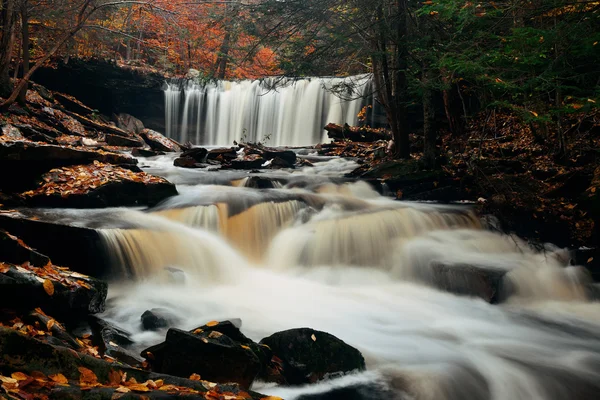 Cascadas de otoño en el parque — Foto de Stock