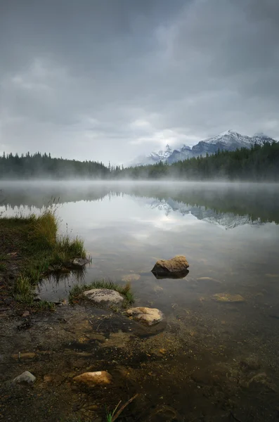 Herbert jezero v mlhavé ráno — Stock fotografie