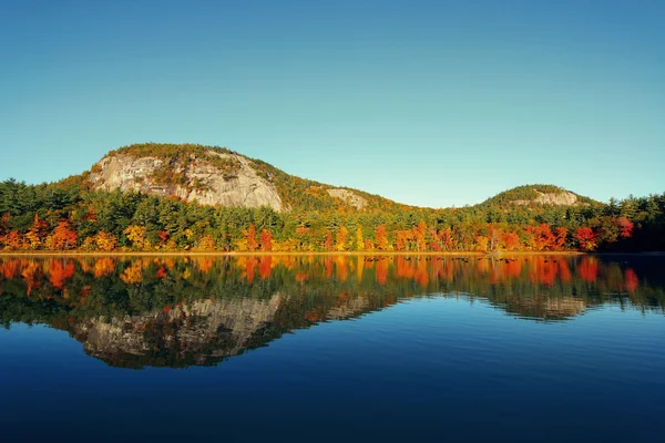 Folhagem de outono com lago — Fotografia de Stock