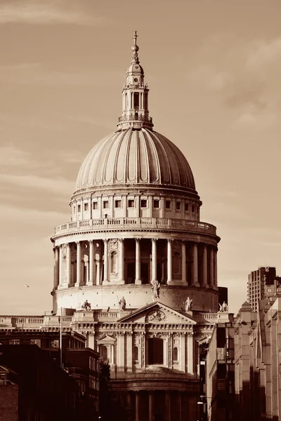 St Paul's cathedral — Stock Photo, Image