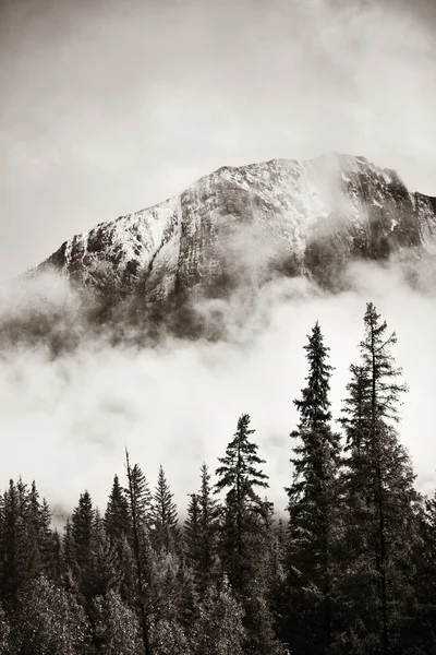 Parque Nacional do Banff — Fotografia de Stock