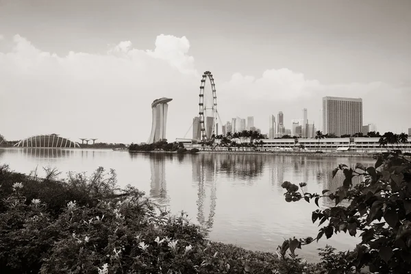 Zobacz panoramę Singapuru — Zdjęcie stockowe