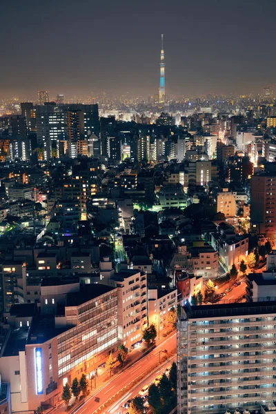 Токіо на даху подання — стокове фото