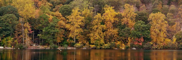 Autunno vista lago — Foto Stock