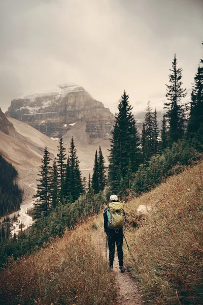 Banff nationalpark - Stock-foto