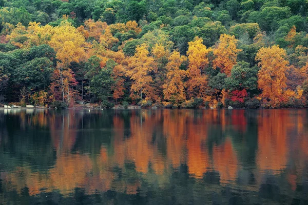 sonbahar Göl Manzaralı