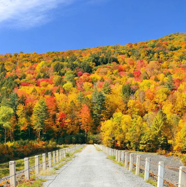 Stowe kırsal görünümü