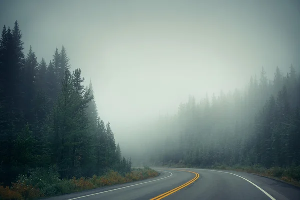 Carretera brumosa al anochecer — Foto de Stock