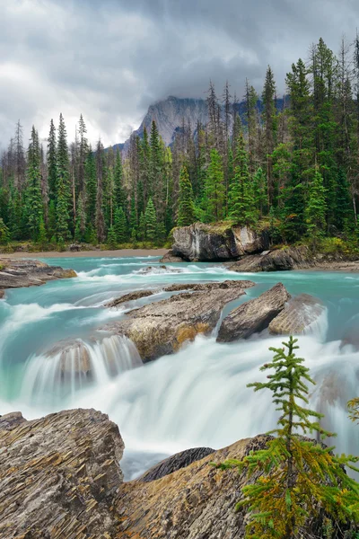 Ruisseau dans le parc national Yoho — Photo