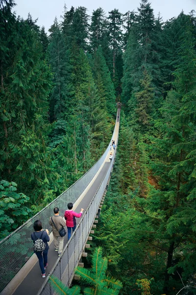 Capilano visutý most — Stock fotografie