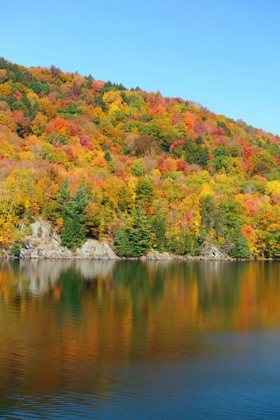 Fogliame d'autunno del lago — Foto Stock