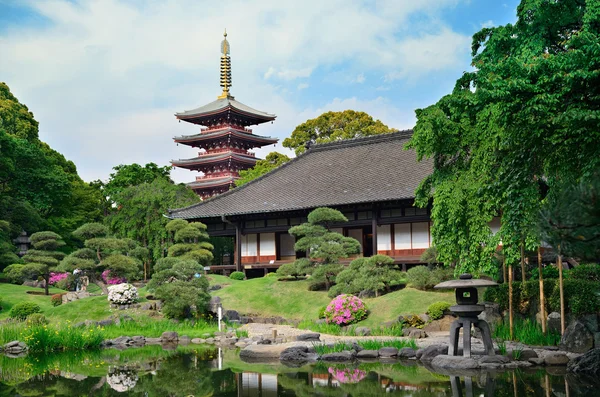 센 소지 사원 보기 — 스톡 사진