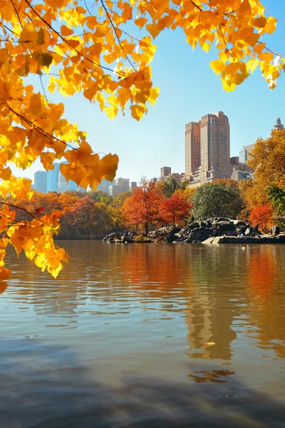 Central Park Autunno — Foto Stock