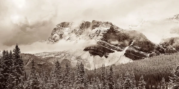 Bow Lake vista —  Fotos de Stock