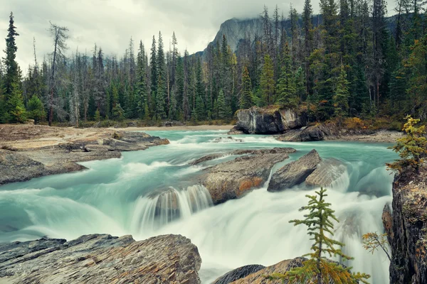 Creek v národním parku Yoho — Stock fotografie