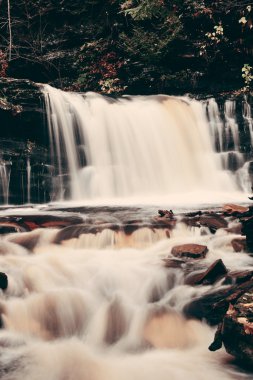 Güzel sonbahar şelaleler