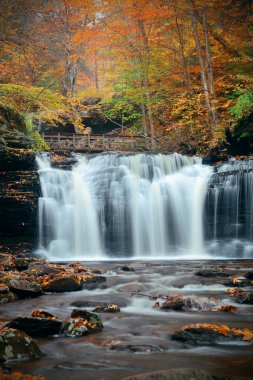 Güzel sonbahar şelaleler