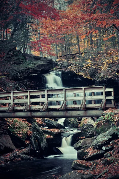 Hermosas cascadas de otoño —  Fotos de Stock