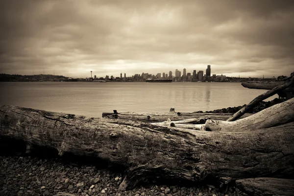 Seattle manzarası görünümü — Stok fotoğraf