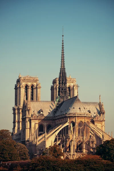 Paris Notre Dame-katedralen — Stockfoto