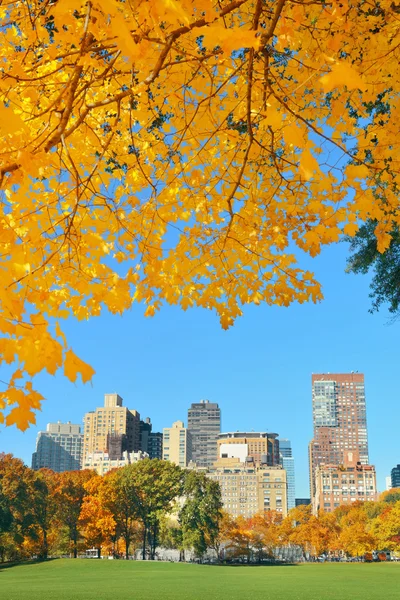 Central park hösten — Stockfoto