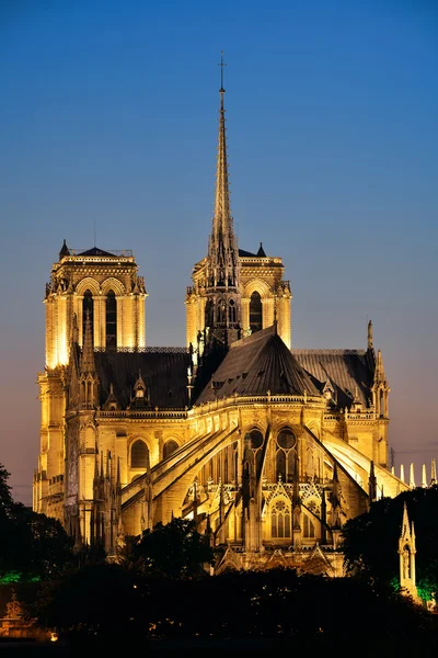 Senhora de notre de Paris — Fotografia de Stock