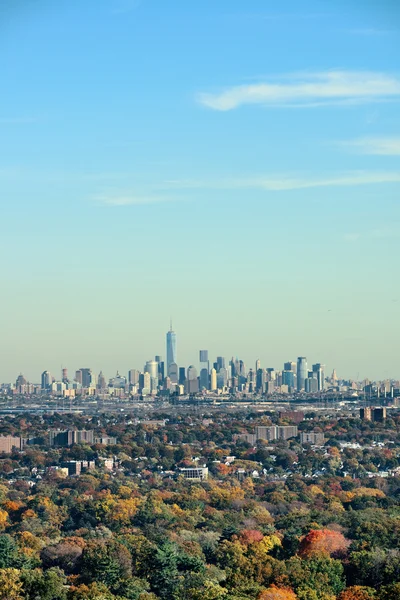 New York City skyline viewed from park — Stock Photo, Image