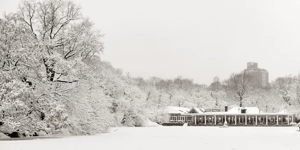 Central park vinter — Stockfoto