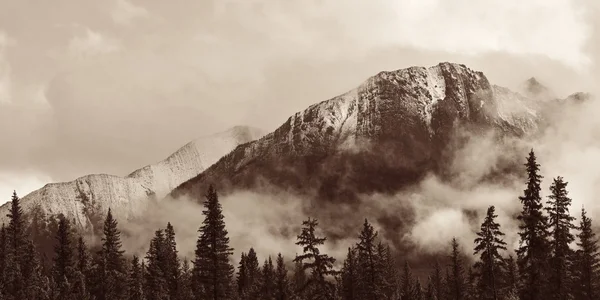 Panorama do Parque Nacional de Banff — Fotografia de Stock