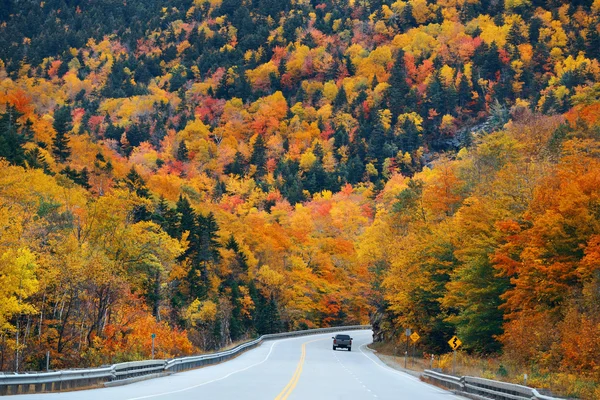 Highway and Autumn foliage — Stock Photo, Image