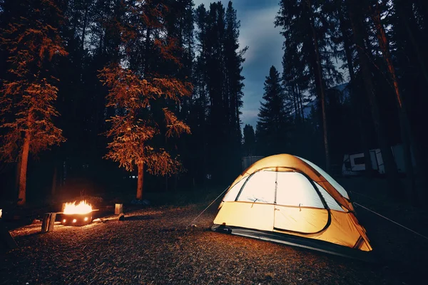 Acampar na floresta com luz da barraca — Fotografia de Stock