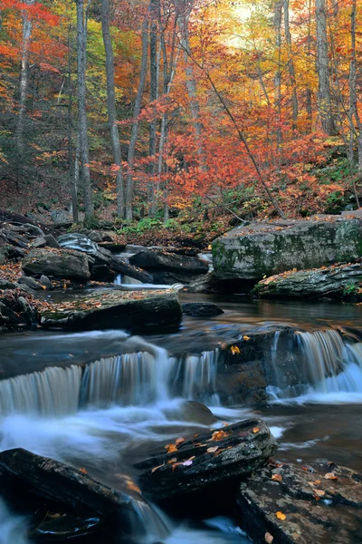 美しい秋の滝 — ストック写真
