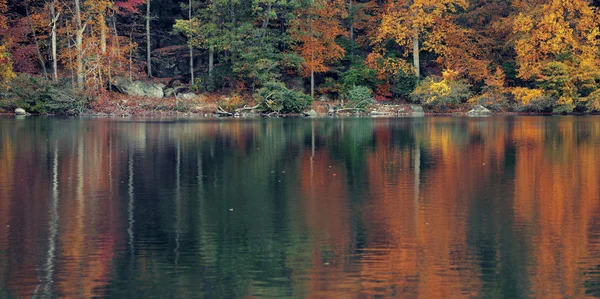 Vista sul lago autunnale — Foto Stock