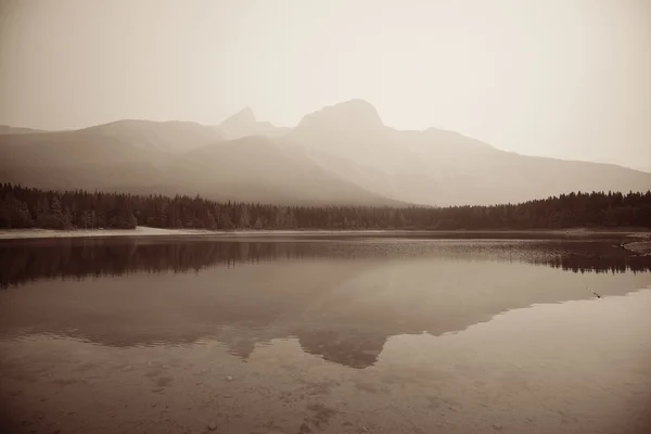 Köd, őszi tóra — Stock Fotó