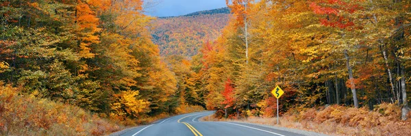 Autobahn und Herbstwald — Stockfoto