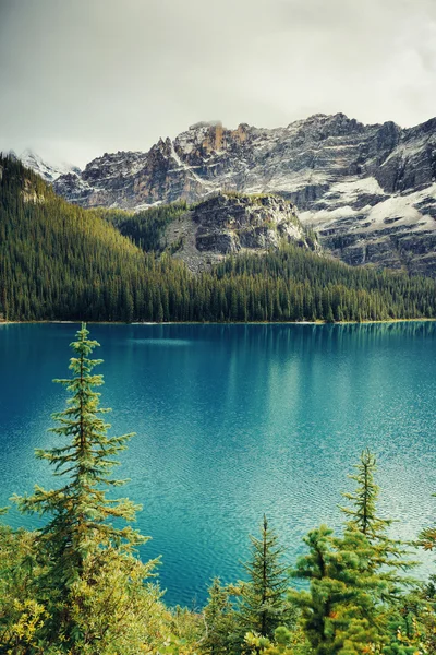 Parque Nacional Yoho — Foto de Stock