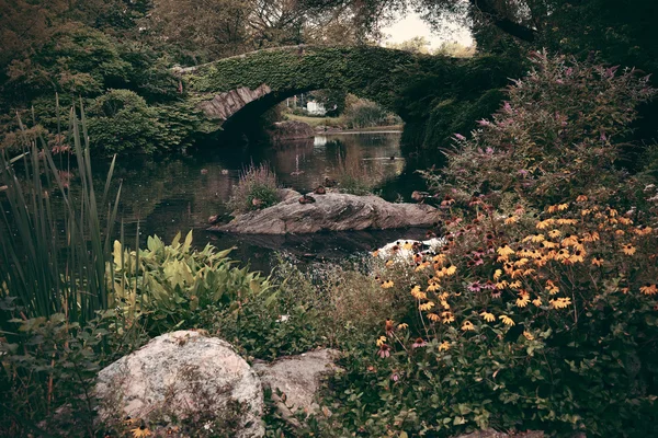 中央公園春 — ストック写真