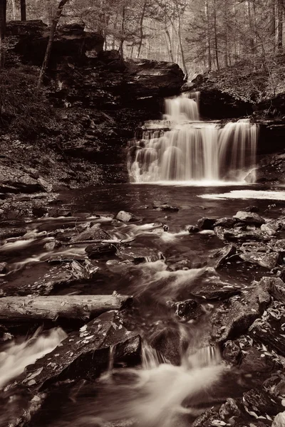 Wasserfälle im Herbstwald — Stockfoto