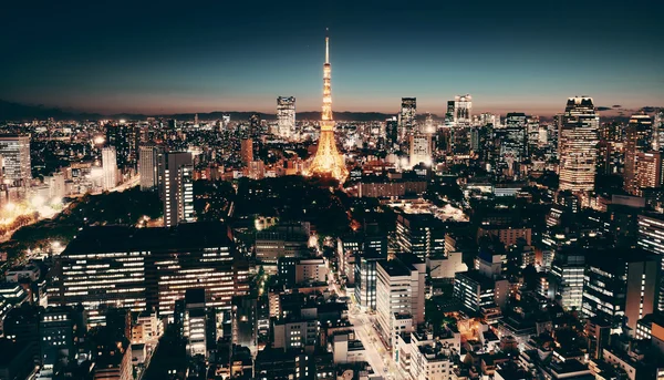 Tokyo Skyline view — Stockfoto