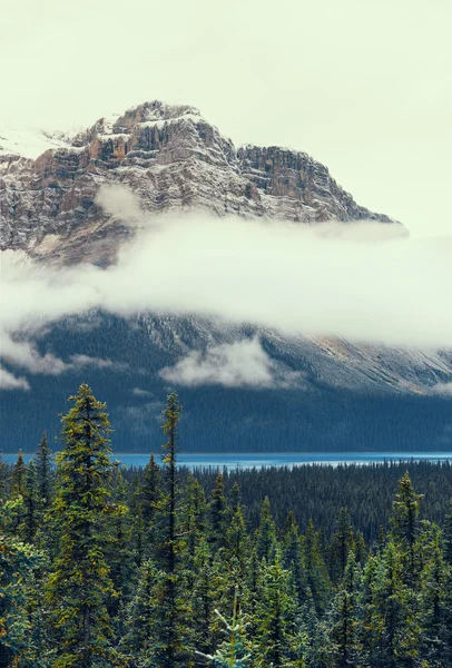 Banff Ulusal Parkı — Stok fotoğraf