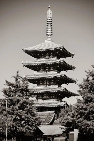 Tokyo Tempel Ansicht — Stockfoto