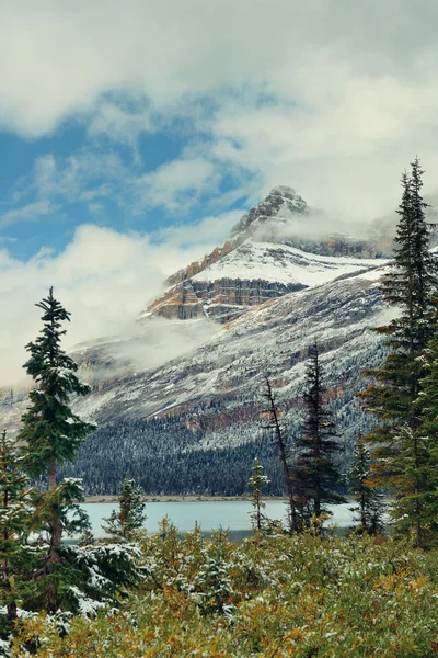 Bow Lake vista — Foto de Stock