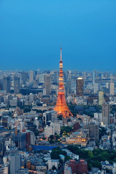 Tokyo Skyline view — Stock Photo, Image