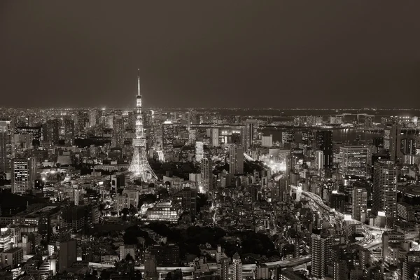 Vista Tokyo Skyline — Foto Stock