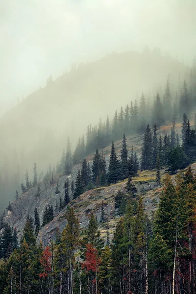 Nationaal park Banff — Stockfoto